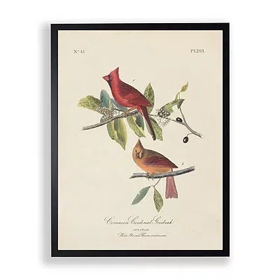 Kirkland's Vintage Cardinal Birds Framed Art Print In Multi
