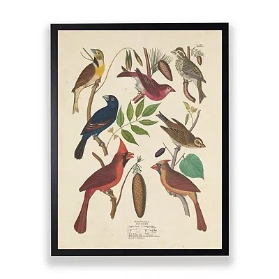 Kirkland's Vintage Finch Birds Framed Art Print In Multi