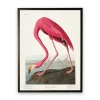 Kirkland's Vintage Flamingo Bookplate Framed Art Print In Multi