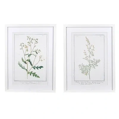 Kirkland's Vintage Foliage Framed Art Prints In White