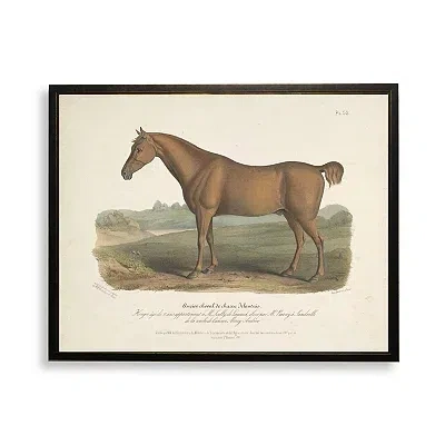 Kirkland's Vintage Horse Bookplate Framed Art Print In Multi
