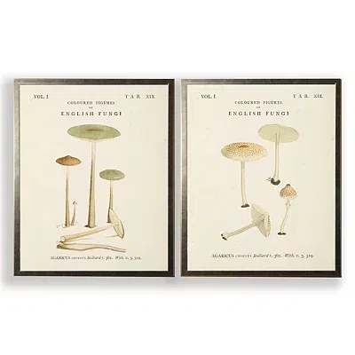 Kirkland's Vintage Mushrooms I Framed Art Prints In Multi