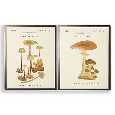 Kirkland's Vintage Mushrooms Ii Framed Art Prints In Neutral