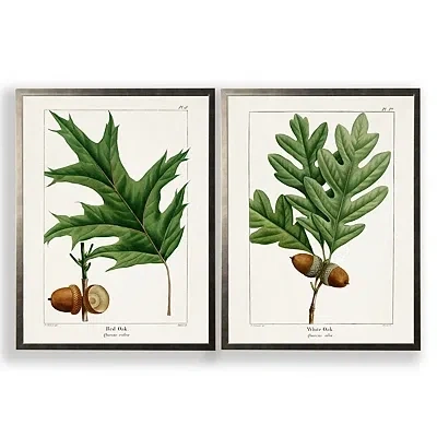 Kirkland's Vintage Oak Leaves Framed Art Prints In Multi