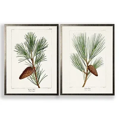 Kirkland's Vintage Pine Leaves Framed Art Prints In Multi