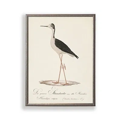 Kirkland's Vintage Waterbird Facing Left Framed Art Print In Neutral