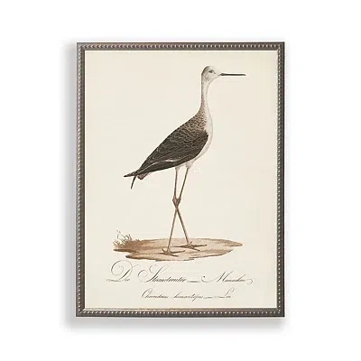 Kirkland's Vintage Waterbird Facing Right Framed Art Print In Neutral