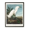 Kirkland's Vintage White Egret Bookplate Framed Art Print In Multi
