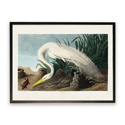 Kirkland's Vintage White Heron With Lizard Framed Art Print In Multi