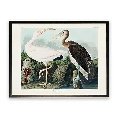 Kirkland's Vintage White Ibis Pair Framed Art Print In Multi