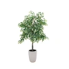 Kirkland's Willow Tree In White Ceramic Pot In Multi