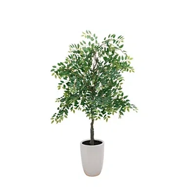 Kirkland's Willow Tree In White Ceramic Pot In Multi