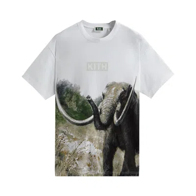 Pre-owned Kith For Amnh Late Mammals Vintage Tee 'white'