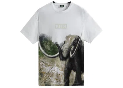 Pre-owned Kith Men's  Amnh Late Mammals Vintage Tee Shirt In White