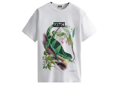 Pre-owned Kith Men's  Amnh Lizards Vintage Tee Shirt In White