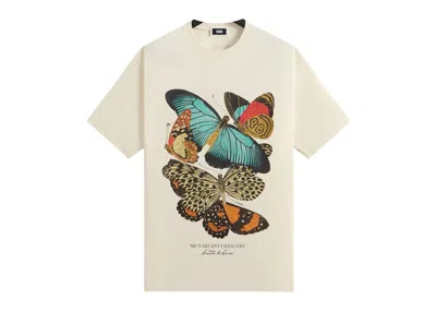Pre-owned Kith Men's  Butterfly Vintage Tee Shirt In Sandrift