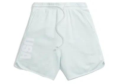 Pre-owned Kith Men's  For Team Usa 5 Rings Jordan Short In Glisten In Silver