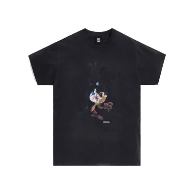 Pre-owned Kith Men's  X Looney Tunes Shadow Taz Vintage Tee Shirt In Black