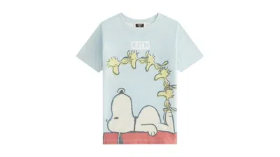 Pre-owned Kith Men's  X Peanuts Kids Woodstock Doghouse Vintage Tee Shirt In Glisten