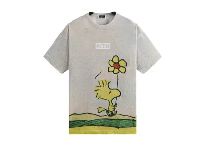 Pre-owned Kith Men's  X Peanuts Woodstock Comic Vintage Tee Shirt In Chalk
