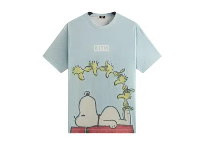 Pre-owned Kith Men's  X Peanuts Woodstock Doghouse Comic Vintage Tee Shirt In Glisten In Silver