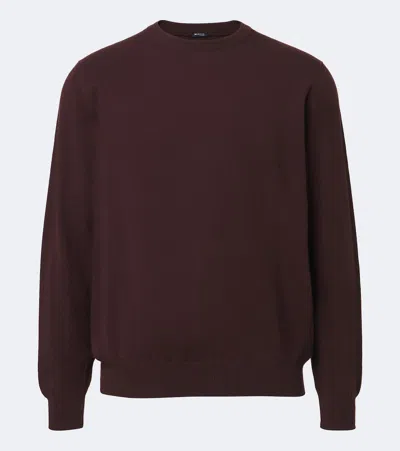 Kiton Knitted Cashmere Sweater In Burgundy