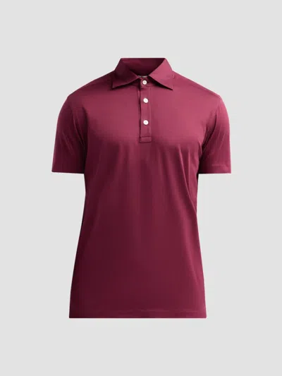 Kiton Men's Cotton Polo Shirt In Multi