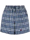 Kiton Spot-print Elastic Shorts In Blue