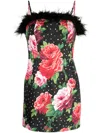 Kitri Nola Rose-print Feather-trim Minidress In Black