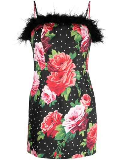 Kitri Nola Rose-print Feather-trim Minidress In Red