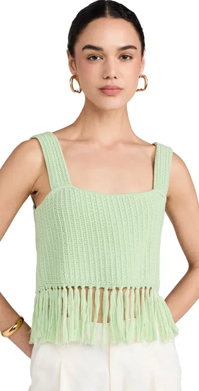 Kitri Roxanna Pistachio Crochet Knit Top Pistachio In Green