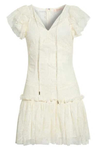 Kittenish Flutter Sleeve Drop Waist Lace Minidress In White