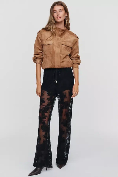 Kivari Jaxon Lace Pants In Black