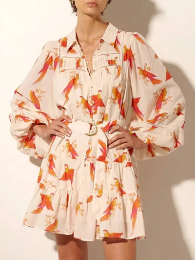 Kivari Kaylee Mini Dress In Cream In Multi