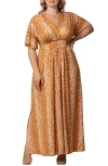 Kiyonna Vienna Maxi Dress In Amber Floral Falls
