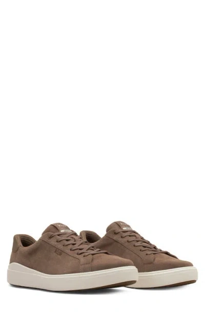 Kizik Vegas 2 Leather Sneaker In Animal Print