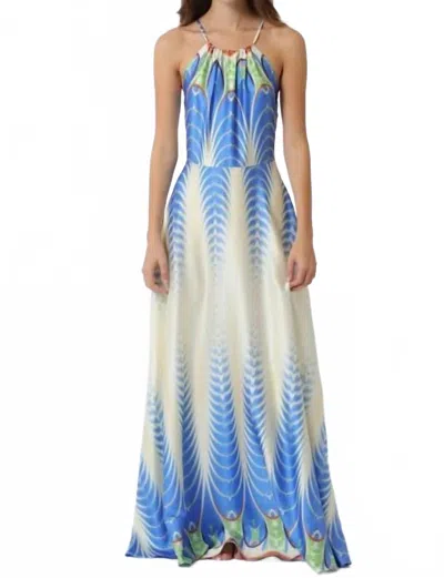 Kld. Signature Satin Border Print Halter Maxi Dress In Peacock In Multi
