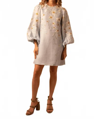Kleid Fiorella Mini Dress In Daisy Baby Blue In Multi