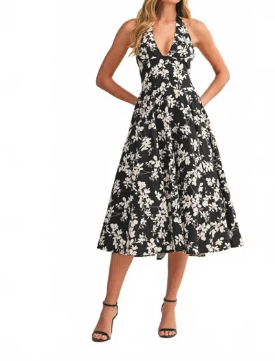 Klesis Garden Gala Midi Dress In Multi In Black