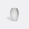 Klimchi Hobnail Egg Crystal Vase In Clear