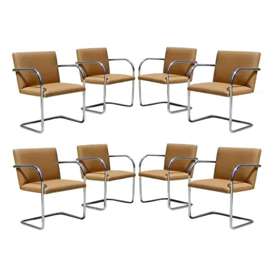 Pre-owned Knoll Eight Chrome And Camel Colored Mies Van Der Rohe Tubular Brno Chairs By  In Brown