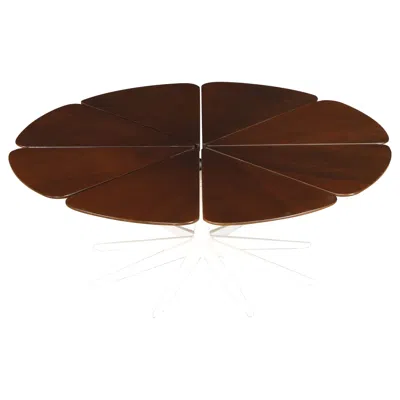 Pre-owned Knoll 'petal' Coffee Table By Richard Schultz For  Associates, 1960s, Signed In Brown