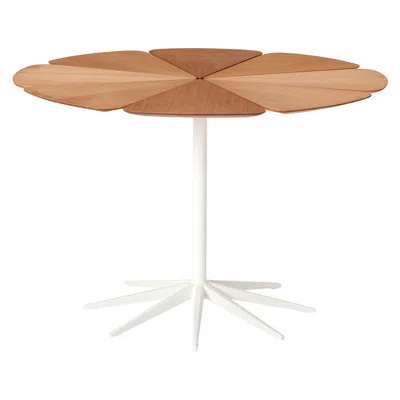 Pre-owned Knoll Petal' Dining Table By Richard Schultz For , 1960 In Brown