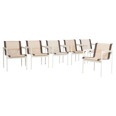 Pre-owned Knoll Richard Schultz For  Set Of Six Dining Chairs—1960s In Sand