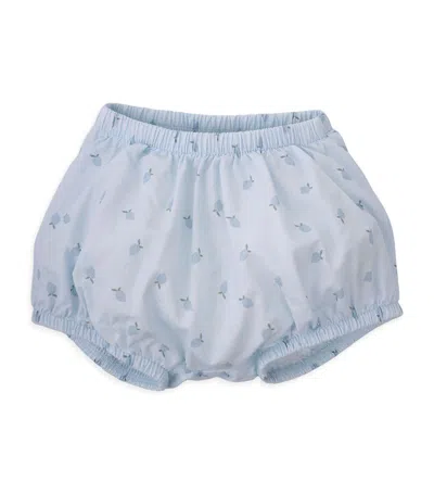 Knot Babies' Cotton Jo Shorts (1-12 Months) In Lemon