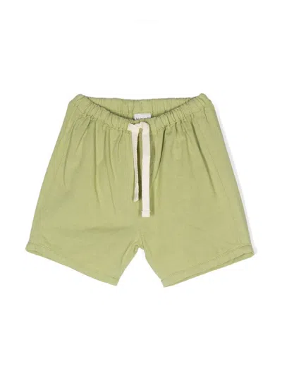Knot Babies' Iggy Drawstring Waistband Shorts In Green