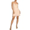 Know One Cares Cowl Neck Bias Cut Minidress