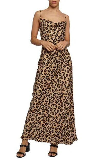 Know One Cares Draped Neck Maxi Dress In Leopard