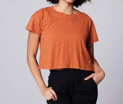 Known Supply Easy Cropped Tee In Rust In Multi