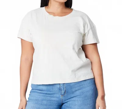 Known Supply Easy Cropped Tee In Stone In White